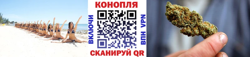 Купить  Александровское  Марихуана семена 
